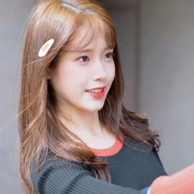 红尾鸽